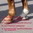 L110xH110_jpg_T0019-9dcce.jpg