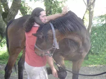 L450xH337_manip_dorsale_cheval_450-29f4d.jpg
