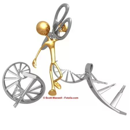 L450xH450_Fotolia_992365_L_genetique-1f8c6.jpg