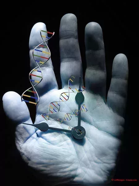 L450xH600_Fotolia_3001030_M_genetique-65258.jpg