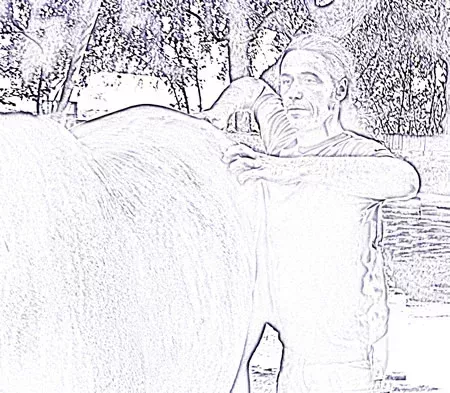 L450xH393_Test_iliaque_copie-a1402.jpg