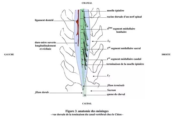 jpg_Figure_03.jpg