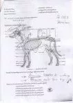 L106xH150_L106xH150_jpg_netIMG_0204-96450-2372d.jpg