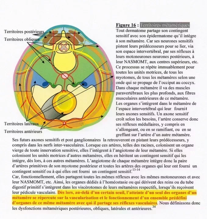 jpg_img046.jpg