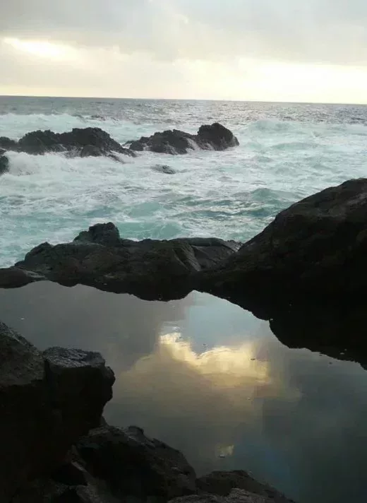 L520xH712_jpg_reflet_canarias-0a9e4.jpg