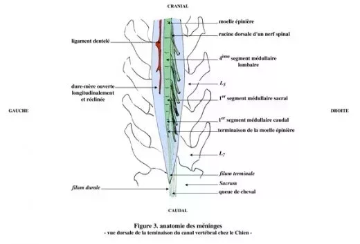L520xH353_jpg_Figure_03-992c0.jpg