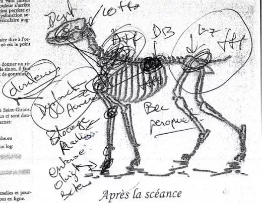 L520xH404_jpg_otello_epaule-93ef7.jpg