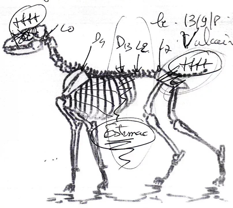 jpg_vulcain_071108-2.jpg