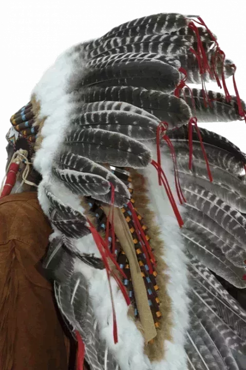 L520xH782_gif_Fotolia_839431_M-f4b10-2.png