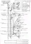 L106xH150_L106xH150_jpg_SNA_cayre-0f95f-22f3e-2.jpg