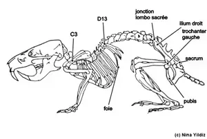 L300xH202png_Jo-896ec.png