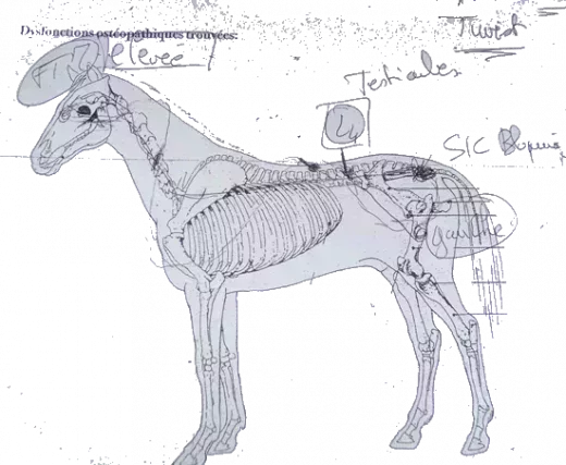 L520xH427_gif_twist_consult-f8cc4.png