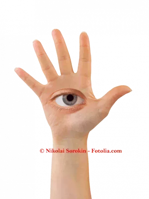 L520xH694_gif_Fotolia_14282165_M_550-b8aa8.png