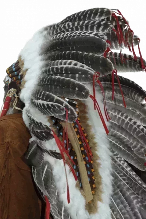 L520xH782_gif_Fotolia_839431_M-f4b10.png