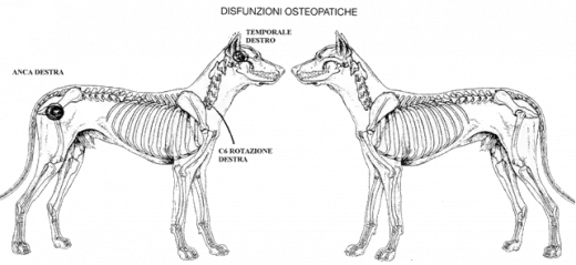 L520xH239_gif_agibail_C2_italien-699bb.png
