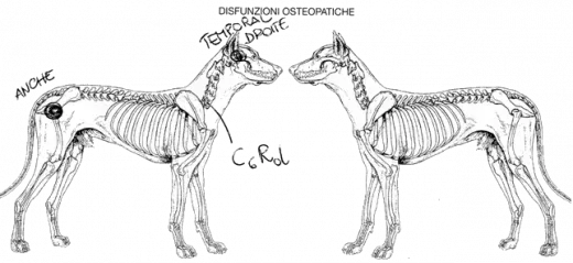 L520xH239_gif_agibail_C2_fr-fa92f-2.png