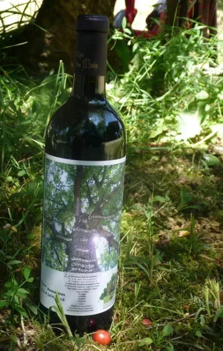 L520xH819_jpg_bouteille_rencontres-20776.jpg
