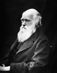 apostill20_darwin.jpg