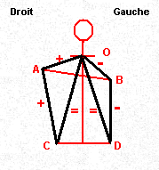 L179xH191_gif_mesure-psoas-97238.gif