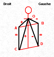 L179xH191gif_mesure-asymetrie-5898b.gif