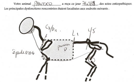 L520xH319_jpg_Pantxo_Consult_7_09_09bd-d9f88.jpg
