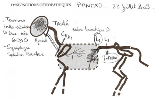 L520xH324_jpg_pantxo_consult_22_07_09bd-79bab.jpg