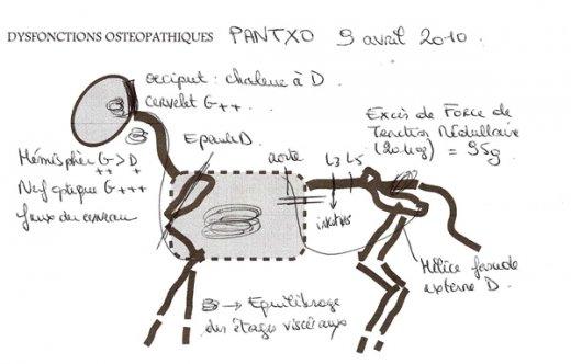 L520xH332_jpg_Pantxo_Consult_9_04_10bd-ed67f.jpg