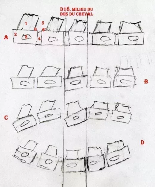 L520xH625jpg_flexion_vertebre_600-407ef.jpg