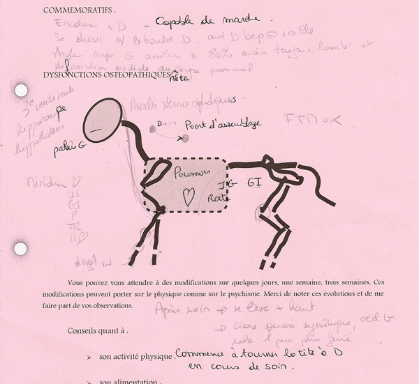 CR-veau-helices-2.jpg