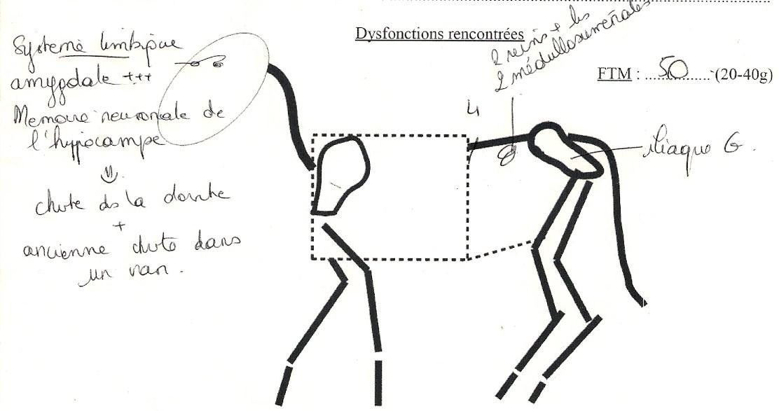 Little, 3e consultation