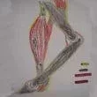 L110xH110_jpg_T0035-b286f.jpg