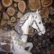 L110xH110_jpg_cheval_bois-24cb2.jpg