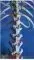 L34xH60_biomeca_Vx_neut1-aef4b.jpg