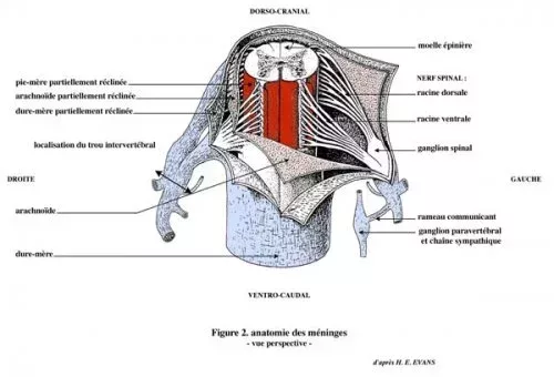 L500xH340_L500xH340_jpg_Figure_02_-a7fda-95d99.jpg