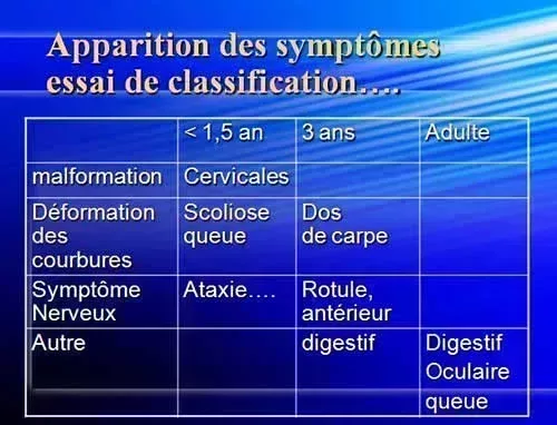 jpg_FTM_tableau.jpg
