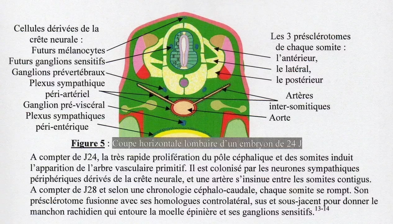 jpg_img037.jpg