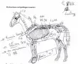 L110xH90_png_lurling-3-98172.png