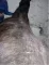 L46xH60_L113xH150_png_lurling-0cde1-10ebf.png