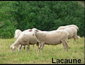 CAZAUBON_964_05.jpg