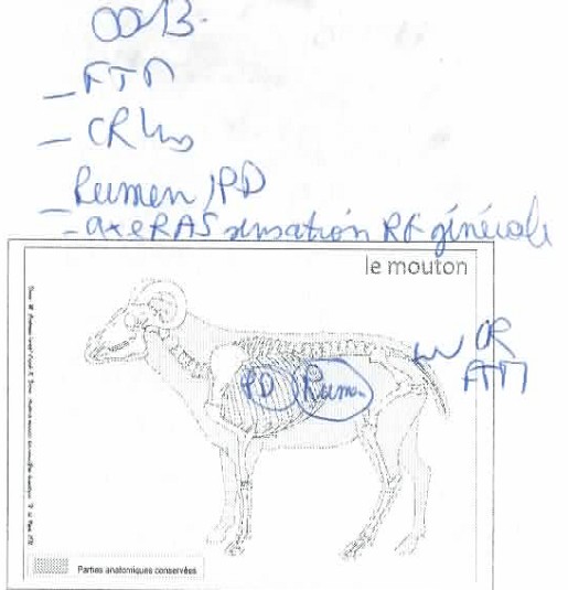 CAZAUBON_964_06.jpg