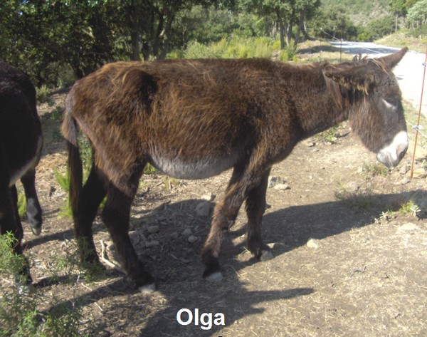 LAROCHE_968_13_OLGA.jpg