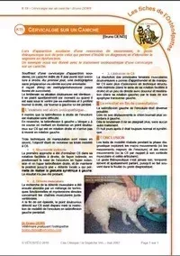 K19_cervicalgie_caniche_DENISvign.jpg