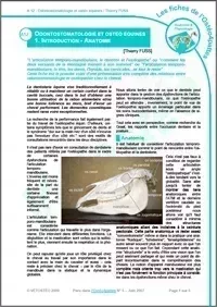 A12_odonto_osteo_FUSSvign.jpg