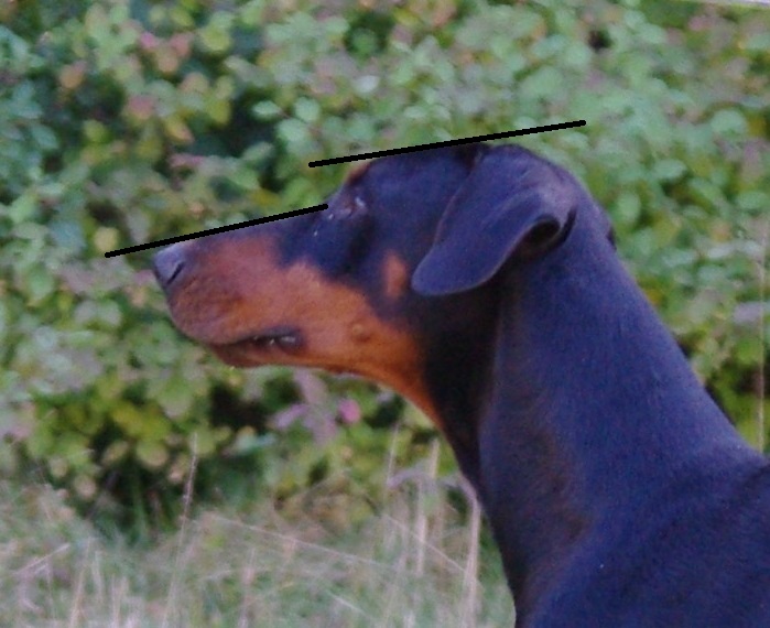 profil_apres.jpg