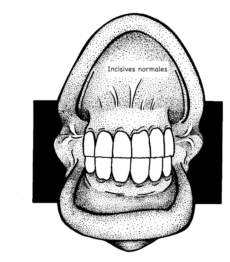 25_art_dents_AQPS_09.jpg