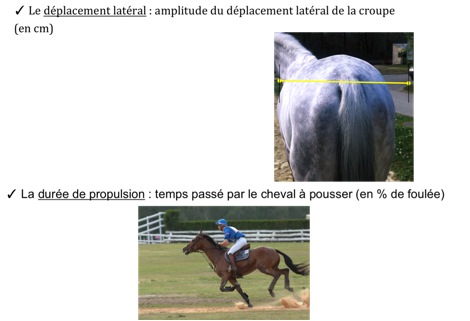 Mesures1bis.jpg