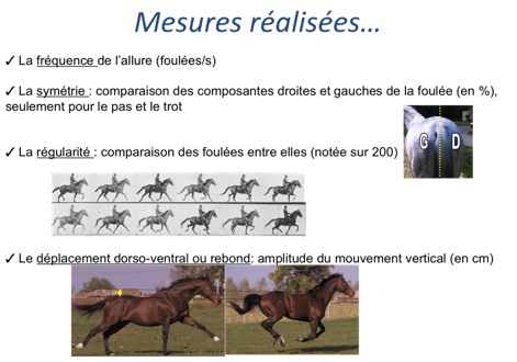 Mesures_1.jpg