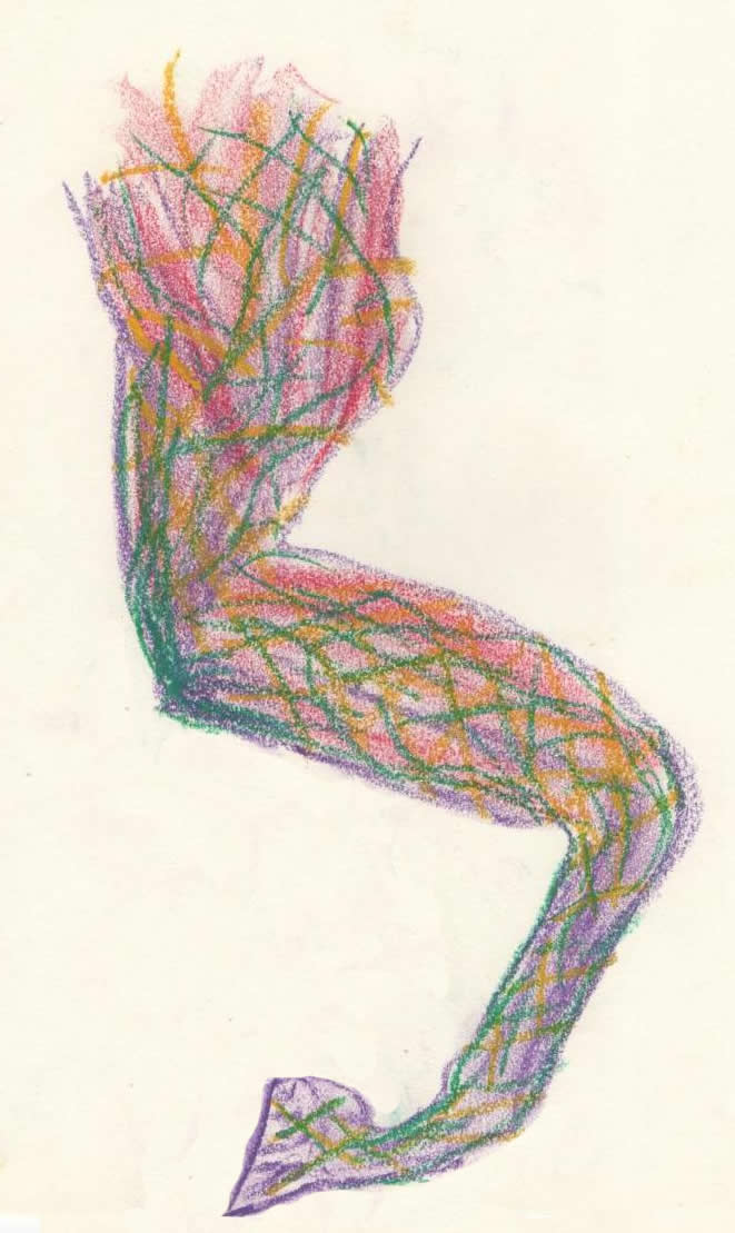 anterieur_reseau_500.jpg