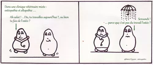 osteopatates_500.jpg