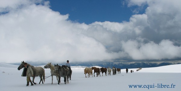 26_ENOFF_Chevaux_equi-libre.jpg